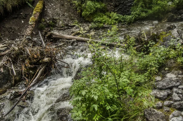 Schöne Aussicht auf die Natur. — Stockfoto