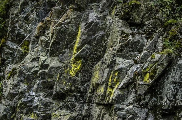 Vacker utsikt över naturen. — Stockfoto