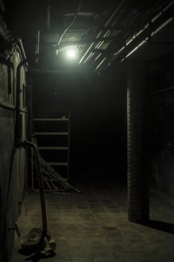 Güzel görebilirim.