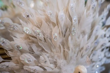 Güzel manzarası ve nesneleri.