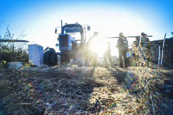 Traktörün güzel görünümü.