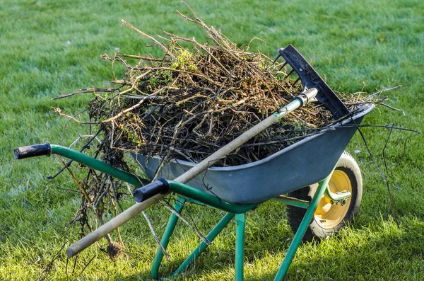Güzel şey ve şey.