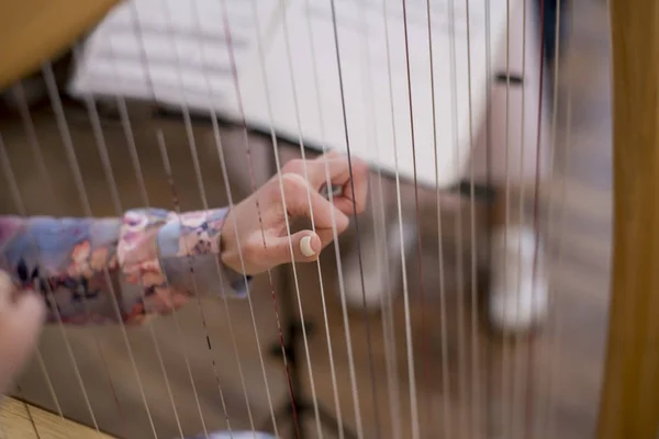 This is a beautiful harp. — Stock Photo, Image