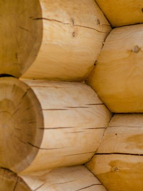 Güzel görünüm ve arka plan.