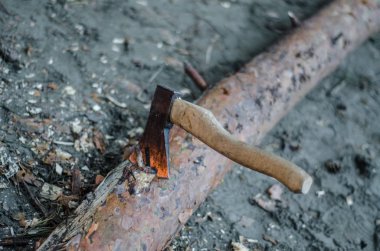 Güzel görünüm ve arka plan.