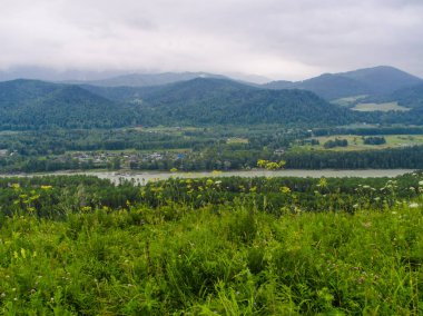 Güzel görünüm ve arka plan.