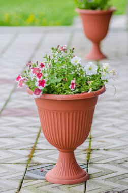 Güzel görünüm ve arka plan.