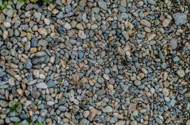 Güzel görünüm ve arka plan.