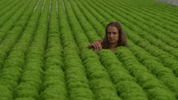 Молодой Вегетарианец Длинными Волосами Лежит Салатах Ласкает Салат — стоковое видео
