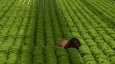 Uzun saçlı Genç vegan adam yorgun salata alanında bırakır