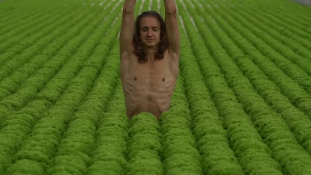 Hombre Joven Vegano Con Pelo Largo Haciendo Yoga Campo Ensaladas — Vídeos de Stock