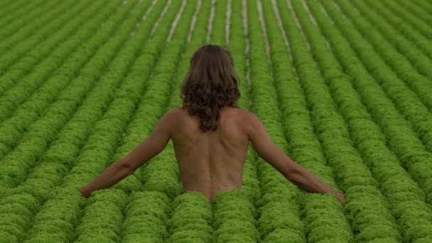 Homem Jovem Vegan Com Cabelos Longos Fazendo Ioga Campo Salada — Vídeo de Stock