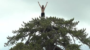 Dünyanın tepesinde ücretsiz duygu Yogi adam uzun saçlı yoga dua üst kısmında çam ağacı dağ bölgesinde Kıbrıs yok