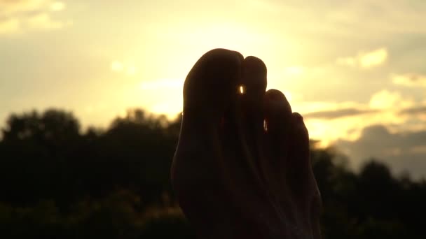 Toccando Luce Del Sole Sullo Sfondo Del Tramonto Della Foresta — Video Stock