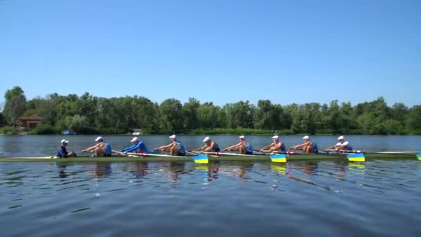 Roeiteam Zomertraining Atleten Roeien Een Boot Rivier Dnipro Stadsgebied Kiev — Stockvideo