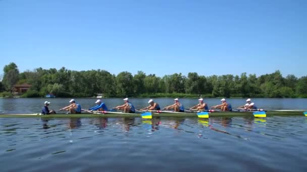 Wioślarze Trenują Latem Sportowców Wioślarzy Łodzi Rzece Dnipro Teren Miasta — Wideo stockowe