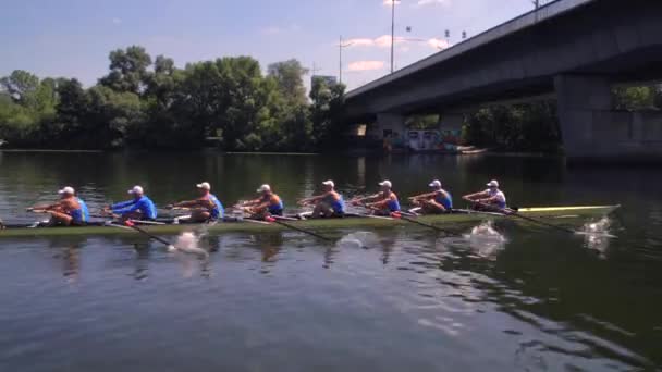 Rowing Team Summer Training Athletes Rowers Boat River Dnipro City — Stock Video