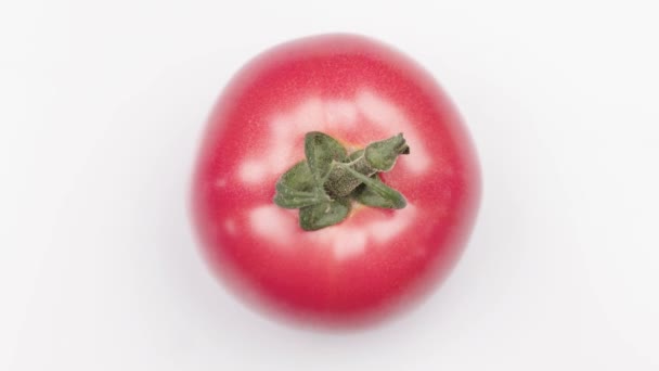 白い背景に回転する熟したジューシーなトマトは クローズアップトップビューを隔離 — ストック動画