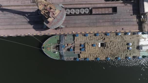 Rundvee Koeien Laden Van Vrachtwagens Het Vrachtschip Haven Industriegebied Luchtbeelden — Stockvideo