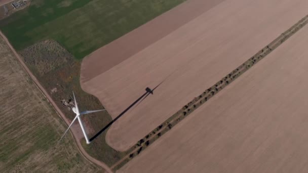 Een Witte Windenergie Power Tower Mill Het Veld Bij Zonsondergang — Stockvideo