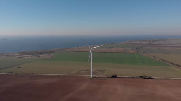 Grupo Torres Energía Eólica Blanca Construye Molinos Campo Junto Mar — Vídeos de Stock
