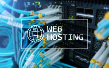 Web Hosting, depolama alanı ve Web siteleri için erişim sağlama.