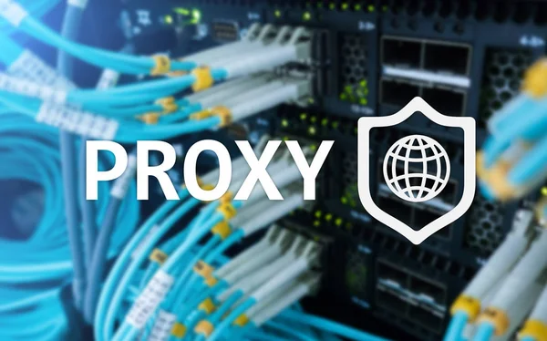 Proxy Sunucusu Vpn Sanal Özel Teknolojisi Siber Güvenlik — Stok fotoğraf