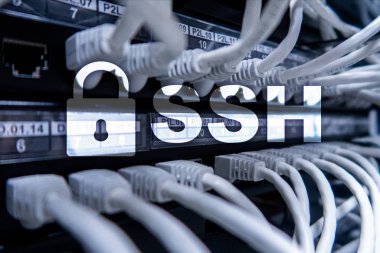 SSH Güvenli deniz hayvanı kabuğu Protokolü ve yazılım. Veri koruma, Internet ve telekomünikasyon kavramı.