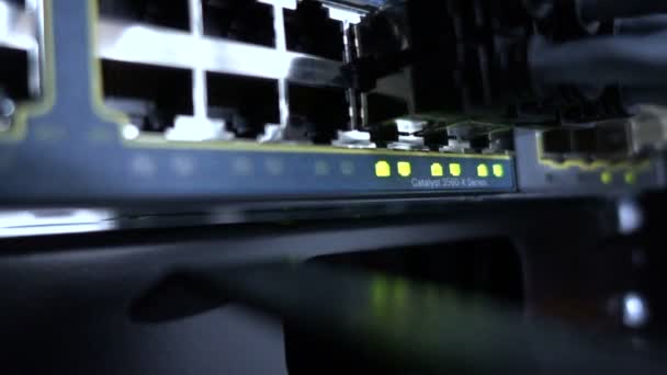 Fiber Optical Connector Interface Rack Mounted Servers Server Room Server — Stock Video