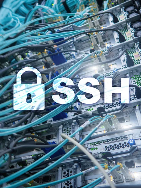 Ssh Secure Shell Protokolu Software Datové Ochrany Internetové Telekomunikační Koncepce — Stock fotografie