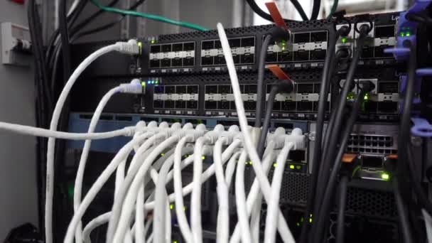 Moderna Nätverksswitch Med Kablar Serverrum Internet Och Telekommunikation Webbteknik Blinkande — Stockvideo