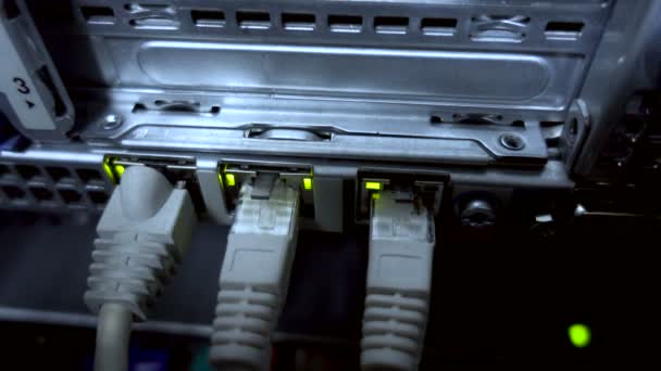 Ethernet Hálózati Illesztők Szerver Hálózati Kártyák Tevékenység Hátlapon Található Felületek — Stock videók