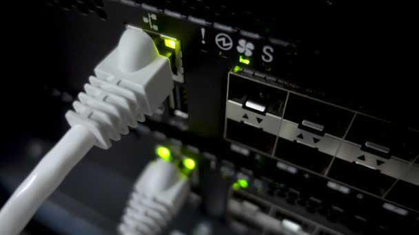 Interfejsy Ethernet Sieci Komutator Wskazanie Przełącznik Sieciowy Porty Sieciowe Ethernet — Wideo stockowe