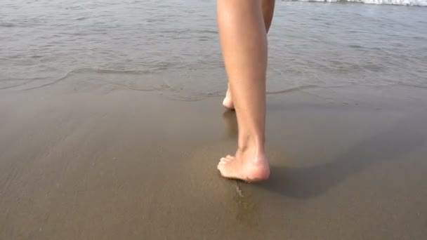 Güzel Bacakları Suda Kumsalda Yürüyen Güzel Bir Kız Ağır Çekim — Stok video
