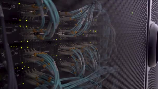 将计算机共享在大型数据中心的机架中 光纤电缆连接器活动指示器闪烁 — 图库视频影像