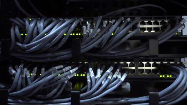 Utp Kabels Zijn Aangesloten Een Netwerkswitch Netwerkactiviteit Switch Rackservers Gemonteerd — Stockvideo