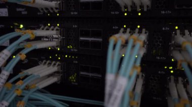 Optik kablo yakın çekim. Ağ aygıtları teknoloji, fiber optik kablo ve anahtarı. LED ışıklar yanıp. 