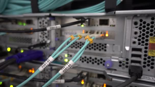 Cables de fibra óptica en el fondo del rack del servidor. Disparando con las manos, hay vibraciones . — Vídeos de Stock