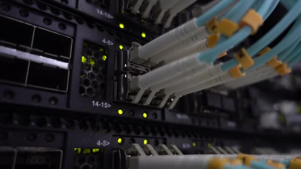 Fiber optische kabels zijaanzicht. Technologie Server concept. — Stockvideo