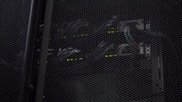 Darkness in the server room. Flashing green server lamp LED. Network ethernet switch. — Stock Video