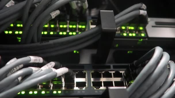 Sunucu odasında bağlı kablolarla yanıp sönen ağ ethernet anahtarı. Videonun yumuşak bir etkisi vardır. — Stok video