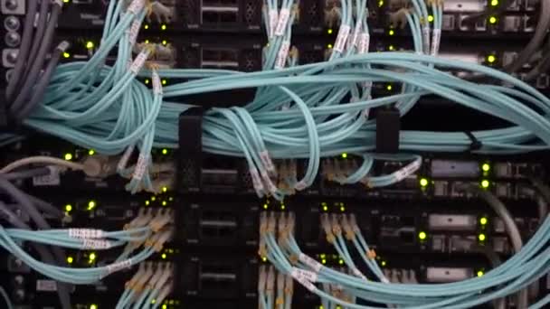 Servidor ótico. Comutador. Luzes intermitentes. Fibra óptica. Separa o computador em um rack no grande data center — Vídeo de Stock