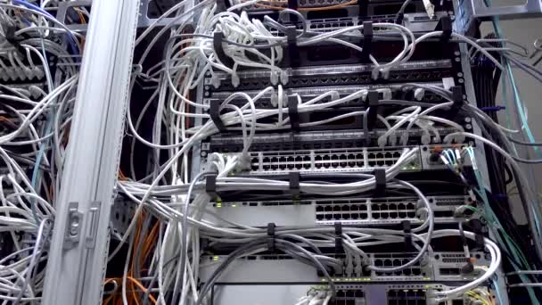 Luzes e conexões no servidor de rede. Interruptor Ethernet de trabalho na sala de data center . — Vídeo de Stock