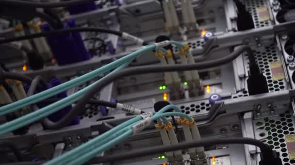 Cierre el cable de fibra óptica. Bastidores de servidores. Luz intermitente — Vídeo de stock