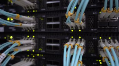 Fiber Optik konektör arayüzü. RafA MonteLi Sunucular Sunucu Odasında, Server raf ses kablosu. Yanıp sönen yeşil ışık.