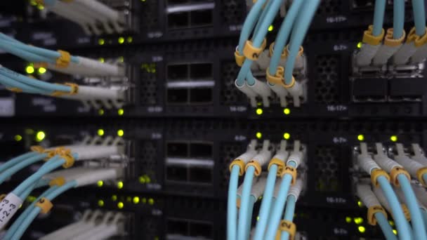 Rozhraní Fiber optických konektorů. Servery montované do racku v místnosti serveru, zvukový kabel pro rack Server. Zelené blikající světlo. — Stock video