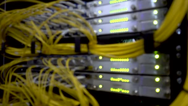 Cables amarillos de fibra óptica de banda ancha de telecomunicaciones. Bastidor del centro de datos. Parpadeo verde Led luces borrosa supercomputadora . — Vídeo de stock