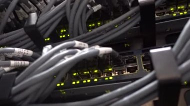 Ağ anahtarı Hub ve ethernet kabloları Lan veri merkezinde. Video küçük titreşimler içerir.