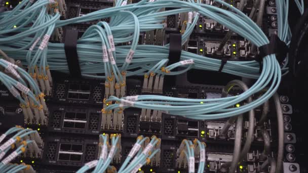 Las luces led intermitentes del bastidor del servidor están en un centro de datos moderno se encuentran detrás de una puerta de hierro con aberturas redondas . — Vídeo de stock