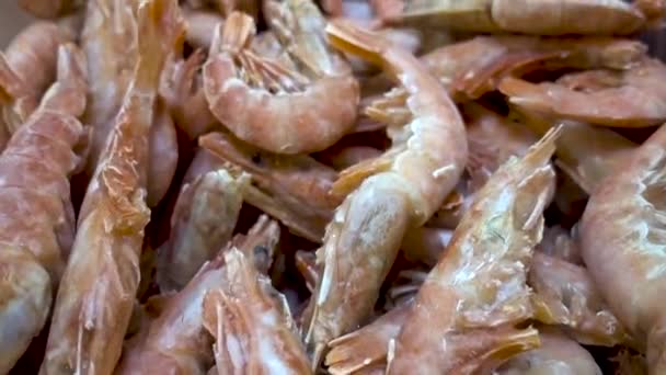 Camarones. Camarones frescos de cerca. Mariscos giratorios . — Vídeo de stock